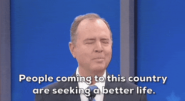Adam Schiff California GIF