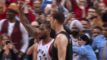 Winning Toronto Raptors GIF by NBA