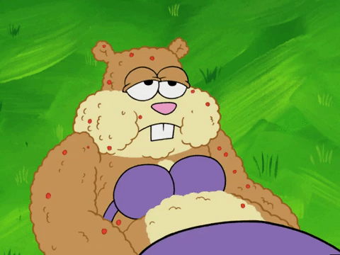 season 5 episode 10 GIF by SpongeBob SquarePants