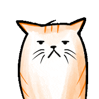 bonniekelso happy cat smile emotions Sticker
