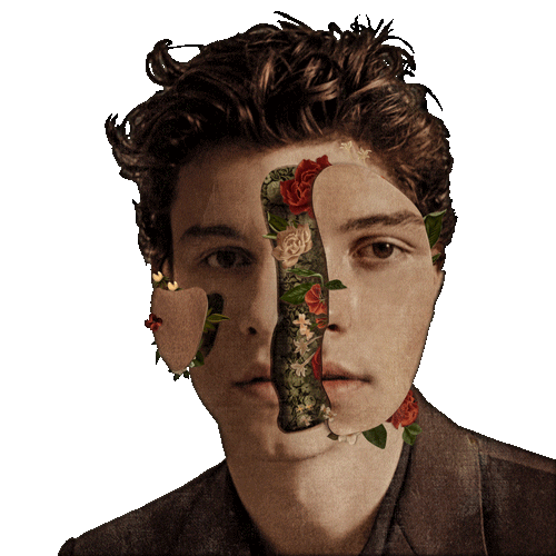 nervous youth Sticker by Shawn Mendes