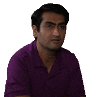 Dinesh Thats True Sticker by Silicon Valley