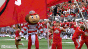 Ncaa Sports GIF by Ohio State Athletics