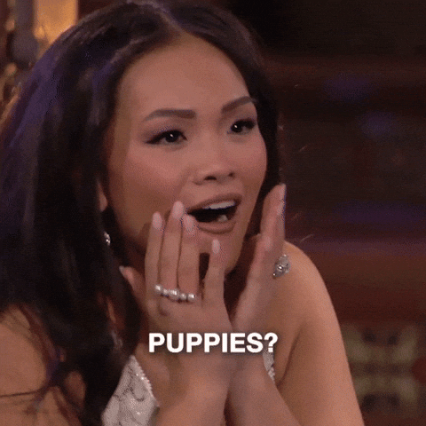 TV gif. Bachelorette Jenn Tran has hands arms to partially cover the lower half of her face to loosely cover excited expressions while exclaiming "Puppies?"