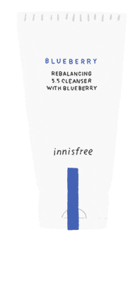 Berry Blueberry Sticker by innisfreeusa