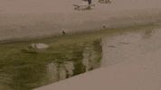 Hard Music Video GIF by Memory Music
