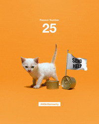 best friends help GIF by Best Friends Animal Society