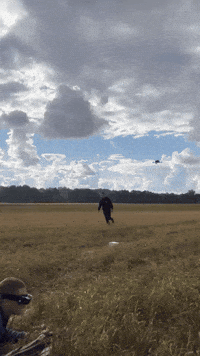 cscv remis eima ciza peliukas GIF