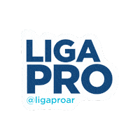 sofiatiracchia bunker ligapro Sticker