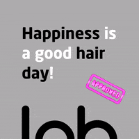 LabParrucchieri lab parrucchieri soave verona labparrucchhieri manuelmischi GIF