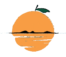 Orange Juice Art Sticker by Sam Omo