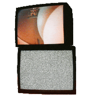 television rihanna Sticker by SAVAGE X FENTY