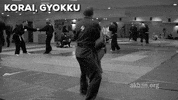 martial arts mma GIF by AKBAN Academy