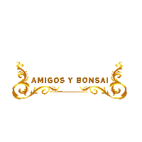 Amigos Japon Sticker