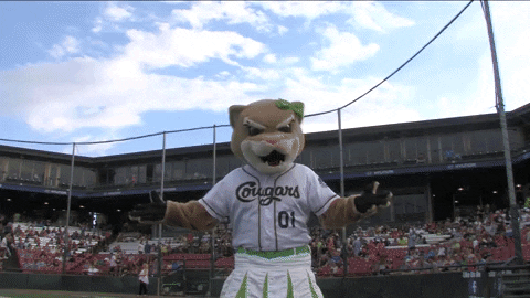 milb GIF by Kane County Cougars