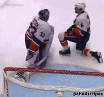 Dog Hockey GIF