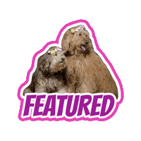Doodle Easter Sticker by Milagency