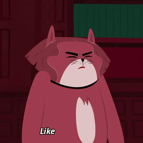 Cats Reaction GIF by Kitty Is Not A Cat