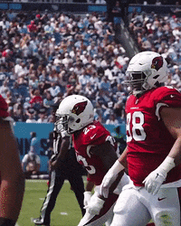 Happy Dance GIF by Arizona Cardinals