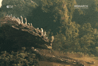 Skull Island Monarch GIF by Apple TV