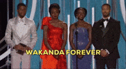 Golden Globes Wakanda Forever GIF by Variety