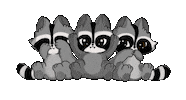 staystrongbewild love sweet adorable raccoon Sticker
