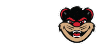 Cincinnati Bearcats Sticker by uofcincyalumni