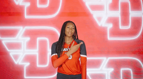 Daytonvolleyball GIF by Dayton Flyers