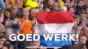 Goed Werk GIF by SKADI Skis
