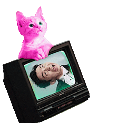 Brian Strgif Sticker by STR Network