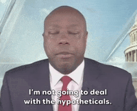 Trump GIF by GIPHY News