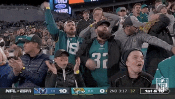 Jacksonville Jaguars Football GIF by NFL