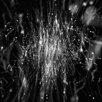 art swimming GIF by commotion.tv