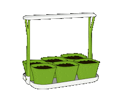 Spring Herb Sticker by tescomacz