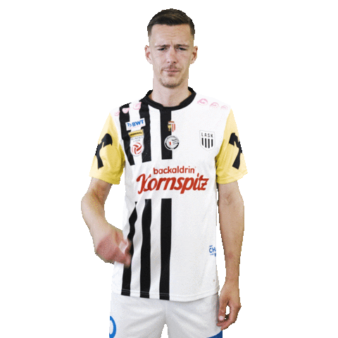 Sport Soccer Sticker by LASK