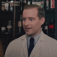 allcreaturestv love smile animals yorkshire GIF