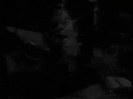 Creature Feature Dracula GIF