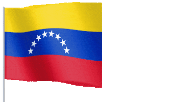 Flag Waving Sticker by PRV Audio