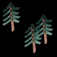 Dancing Trees GIF by gretasschwester