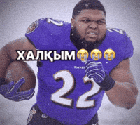 Қазақша Мемдер GIF
