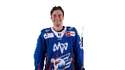 Clap Sticker by Adler Mannheim