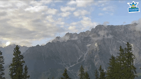 livespotting giphygifmaker deutschland schweiz webcam GIF