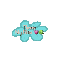 Filter Effect Sticker