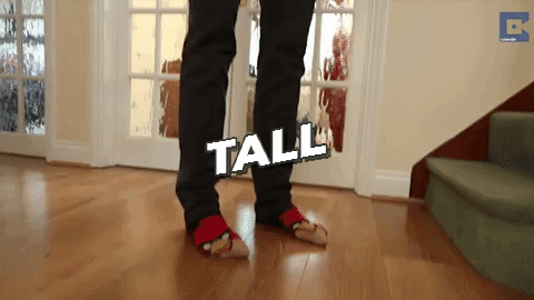 GIF by Tall Guys Free