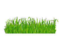 Garden Sticker by Ambrogio Robot
