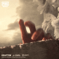 Battle Royale Battlegrounds GIF by Official PUBG MOBILE