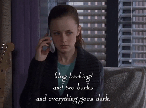 season 6 netflix GIF by Gilmore Girls 