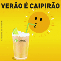Party Summer GIF by Licor Beirão