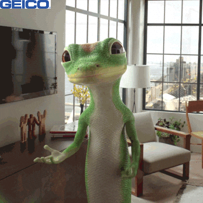 Hold On Wait GIF by GEICO