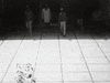 brian wilson GIF by The Beach Boys